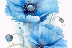 Blue Floral Poppy Watercolor – Barndominium Design Ideas